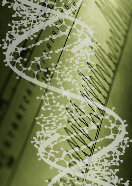 Computational Biology